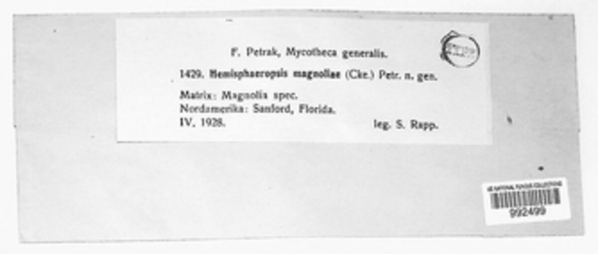 Hemisphaeropsis magnoliae image